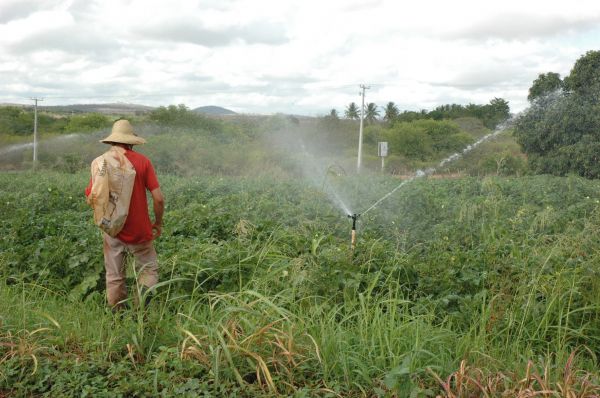 Maior assentamento rural de Sergipe terá sistema de irrigação movido a energia solar