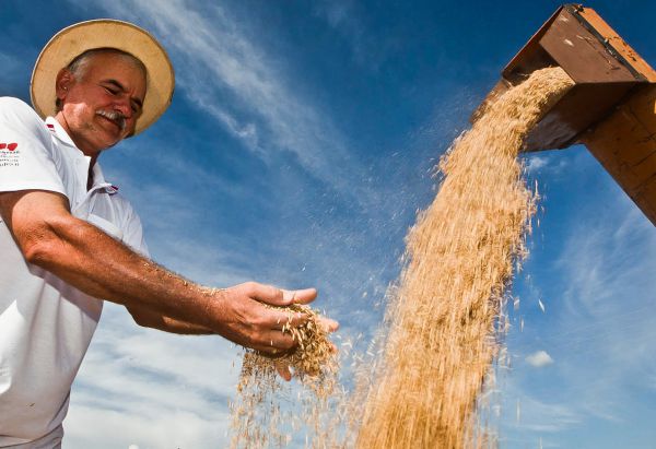 Produtores de Sergipe terão até 95% de desconto para quitar dívidas rurais
