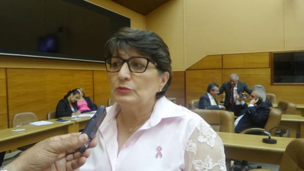 Deputada quer que secretários prestem informações sobre uso dos R$ 567 milhões do Proinvest
