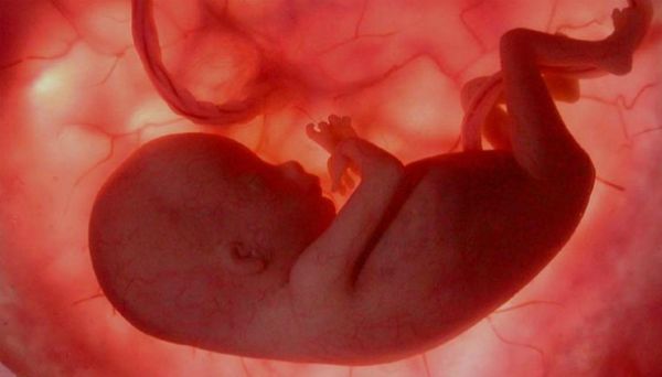 Turma do STF decide que aborto nos três primeiros meses de gravidez não é crime