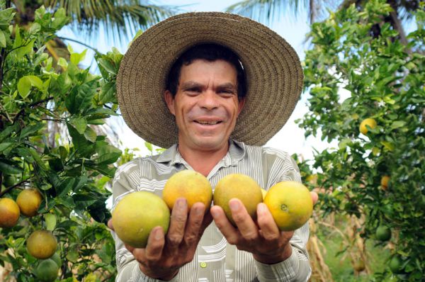 Sergipe é o segundo estado do Nordeste a ter crescimento nas exportações do agronegócio
