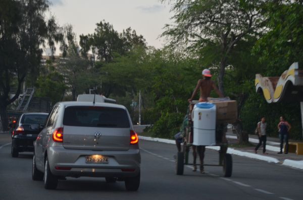 Vamos acabar com as carroças em Aracaju