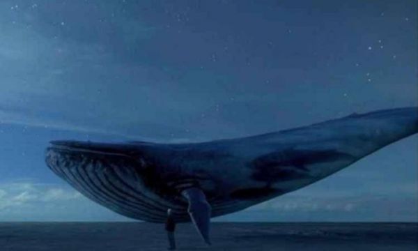 Casal de Aracaju é preso acusado de envolvimento com o jogo baleia azul