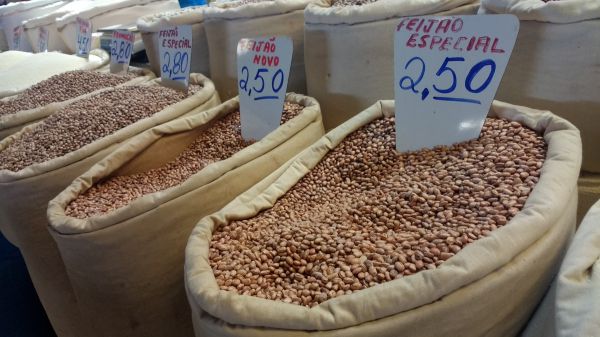 Safra de feijão apresenta crescimento de 251% em Sergipe