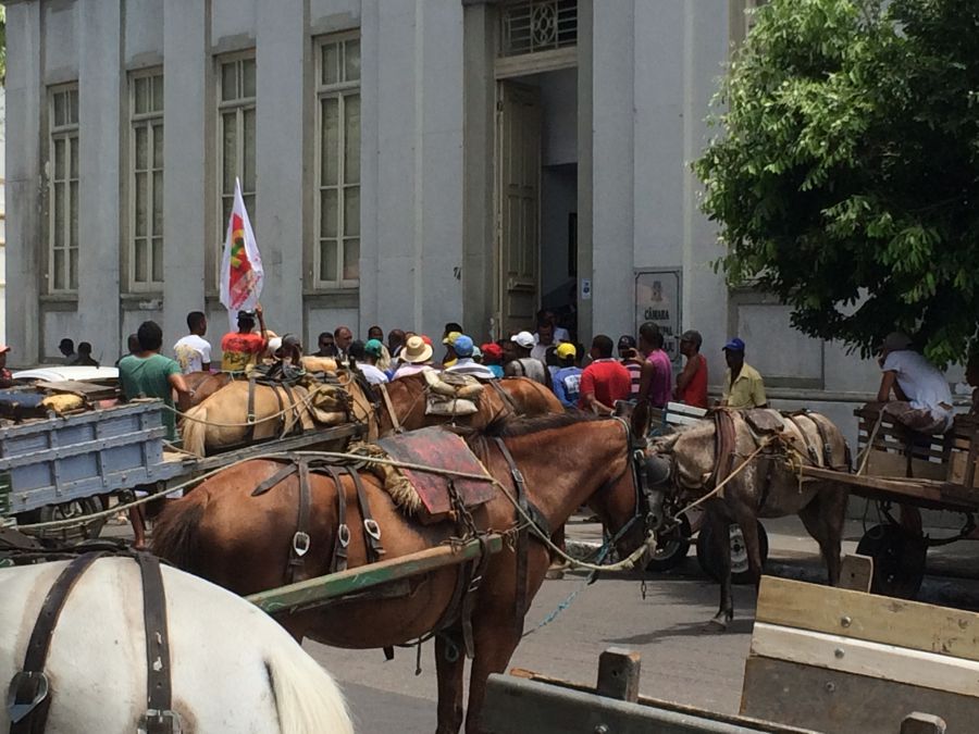 Projeto na Câmara de Aracaju prevê fim gradativo das carroças
