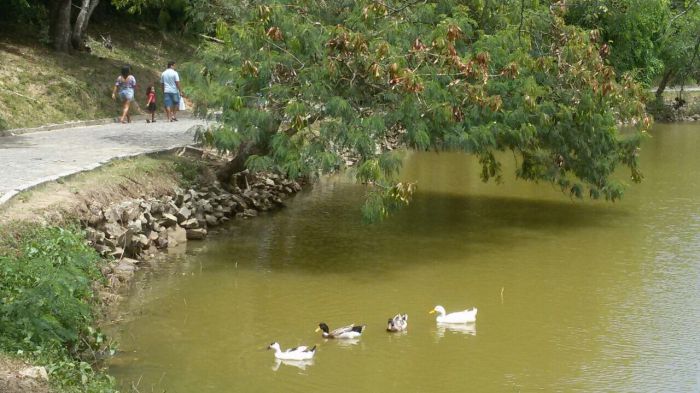 Parque da Cidade precisa de mais atenção