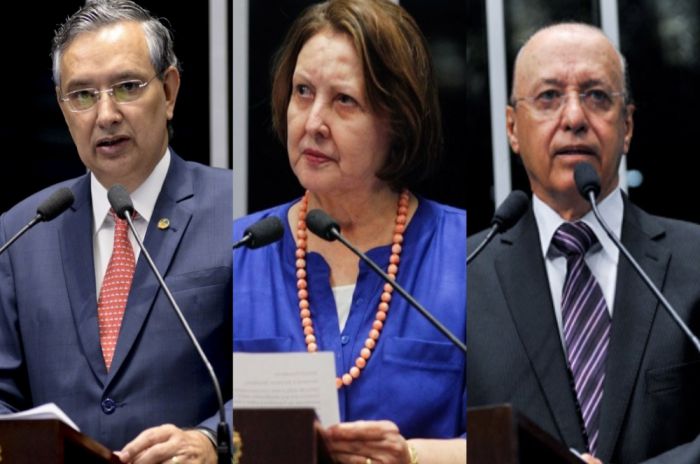 Maria do Carmo teve menos falta do que Valadares no Senado em 2017