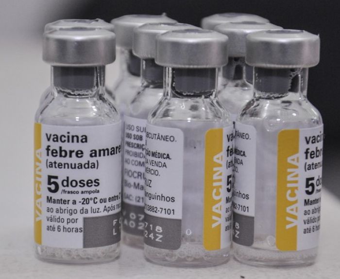 Confira quem não pode tomar a vacina da febre amarela