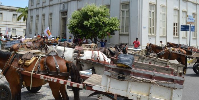 Carroças podem ser emplacadas ainda esse ano em Aracaju