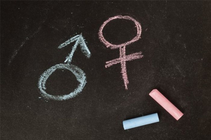 MP recomenda veto à lei que proíbe discussões sobre gênero nas escolas