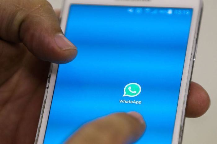 Fake News: Câmara lança canal WhatsApp para consulta sobre a veracidade de informações