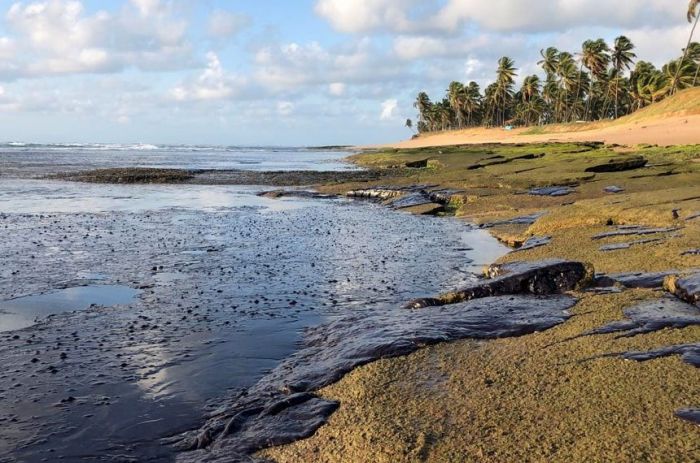 Impacto do vazamento de óleo nas praias será tema de audiência pública