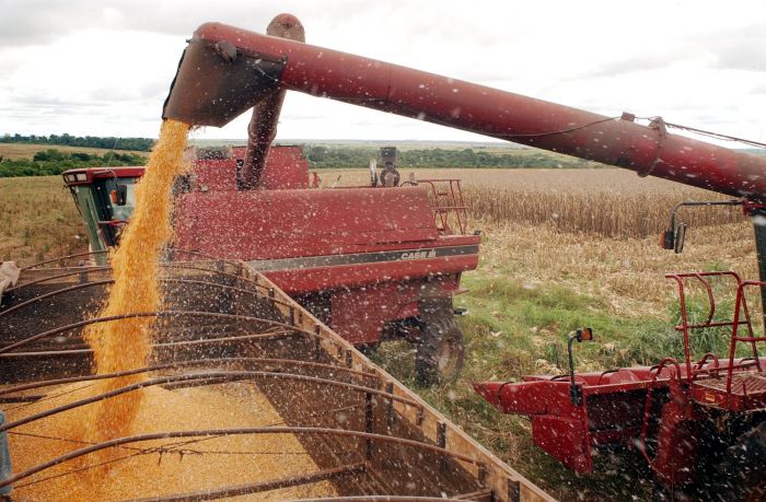 Estimativa da produção de cereais, leguminosas e oleaginosas é de redução da safra