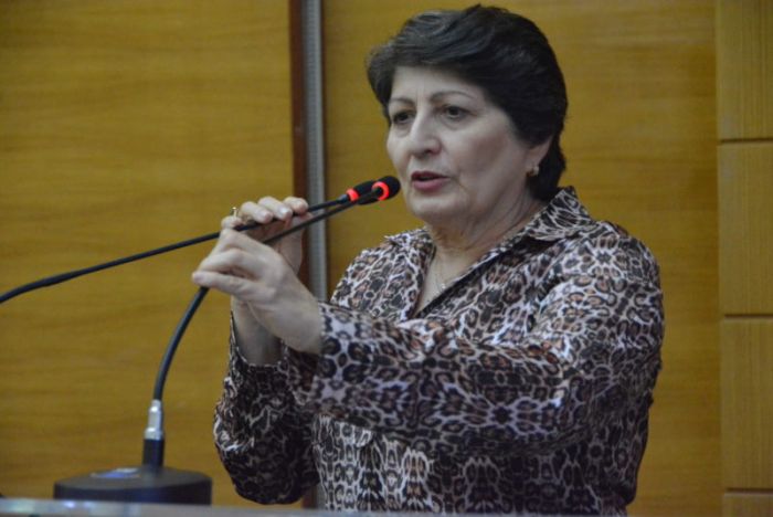 Maria Mendonça ratifica preocupação com estruturas de pontes
