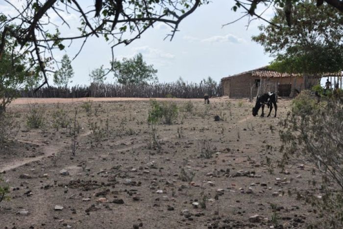 Monitor indica intensificação da seca em Sergipe no mês de setembro