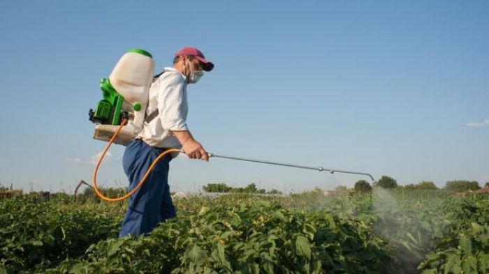 Brasil continua a vender agrotóxico banido nos EUA e que pode diminuir QI de crianças