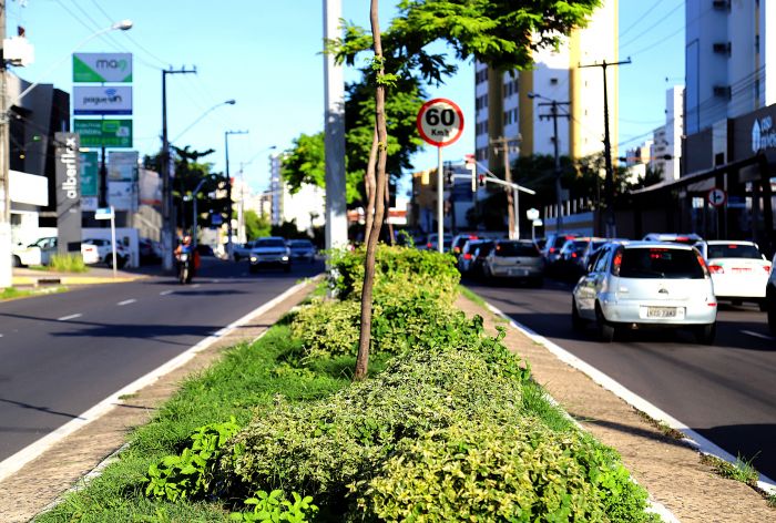 Política ambiental da Prefeitura garante desenvolvimento sustentável de Aracaju