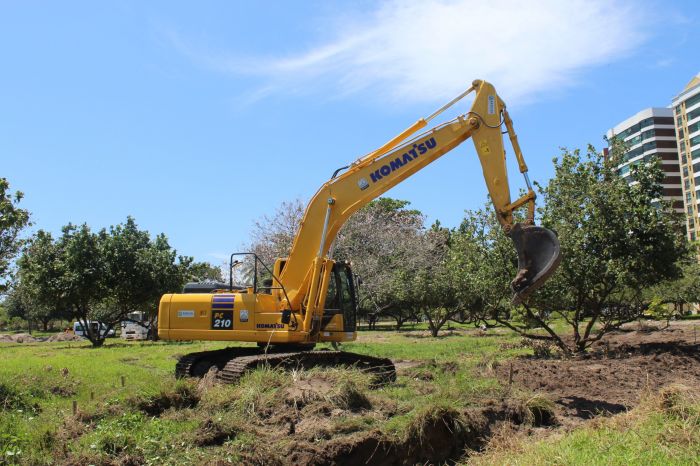 Obra de revitalização ampliará estrutura e arborização do Parque da Sementeira