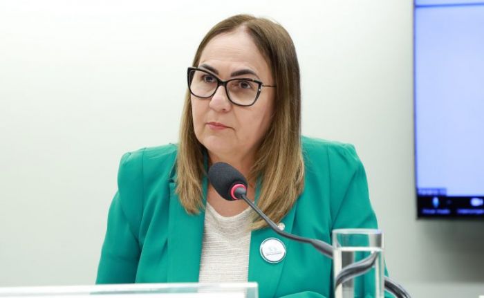 Vale-táxi aprovado para mães e idosos vulneráveis em comissão