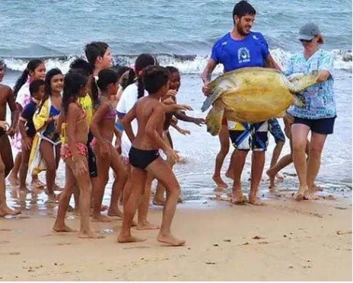 Petrobras em Sergipe e outros estados reabilitou 1,1 mil animais encontrados nas praias em 2023