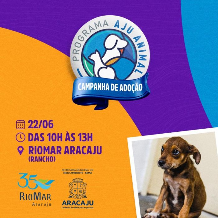 Aju Animal: Sema realiza quarta Campanha de Adoção neste sábado, 22 Meio Ambiente