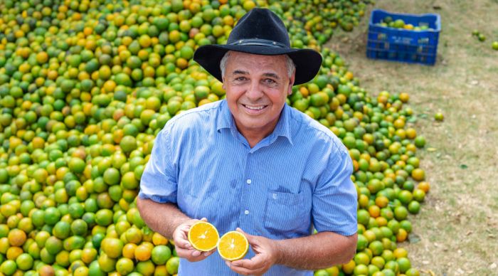 Sergipe se destaca como 2º maior fornecedor de laranja para Ceasas do Brasil