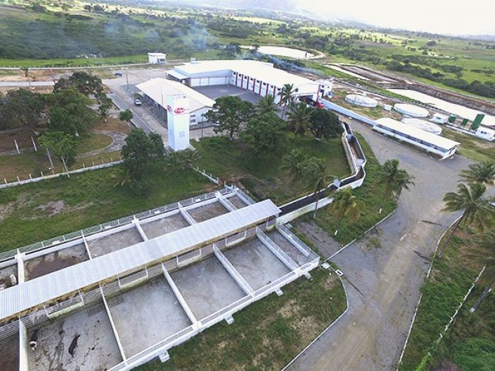 Produção de carne bovina em Sergipe é a que mais cresce no Nordeste